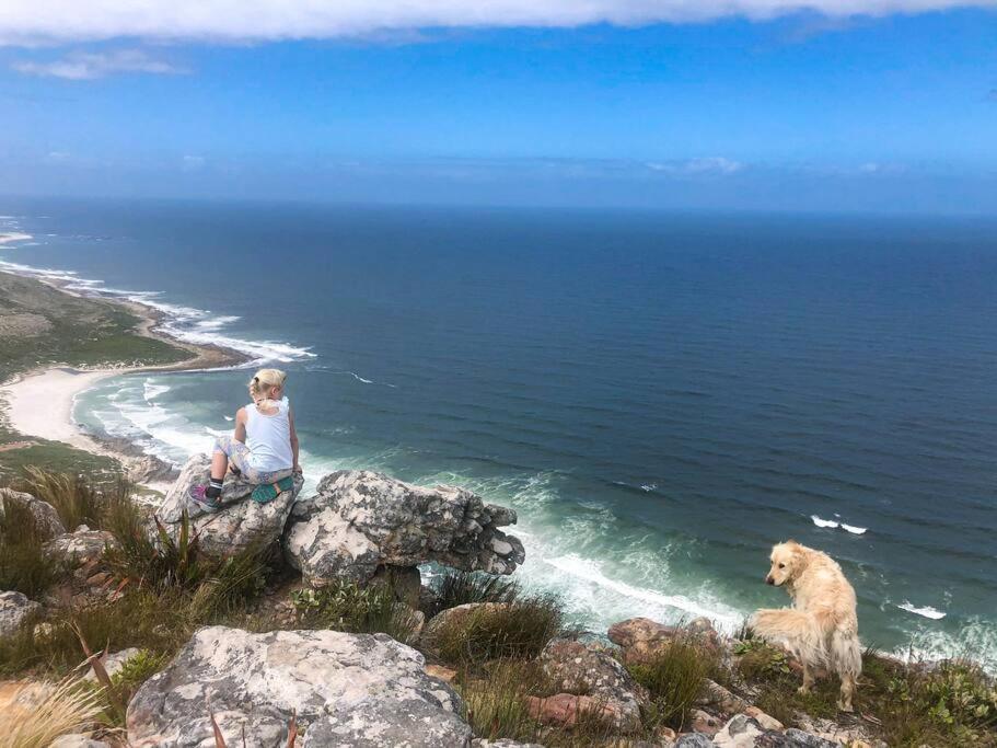 Serene Hide-Away With Ocean Views. Kaapstad Buitenkant foto
