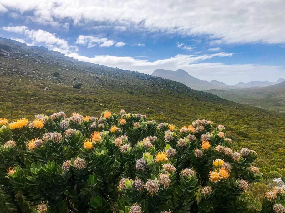 Serene Hide-Away With Ocean Views. Kaapstad Buitenkant foto